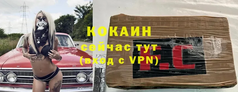 Cocaine Fish Scale  darknet какой сайт  Нерехта 