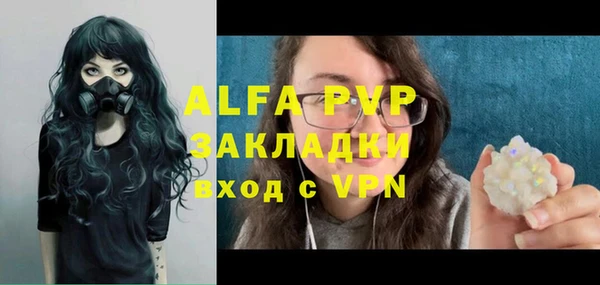 хмурый Новозыбков
