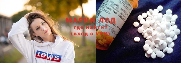 хмурый Новозыбков