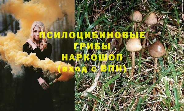герыч Новокубанск