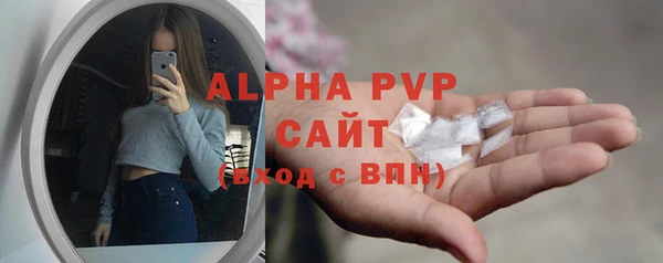 хмурый Новозыбков