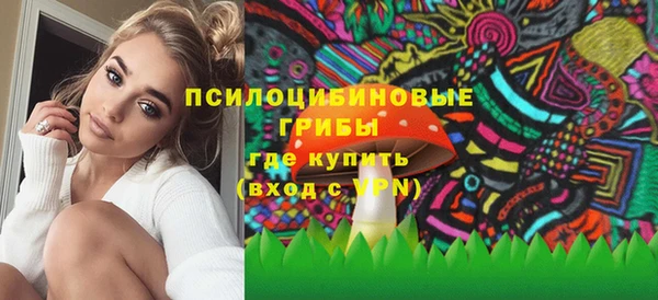 хмурый Новозыбков