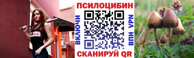 наркошоп  omg сайт  Галлюциногенные грибы мицелий  Нерехта 