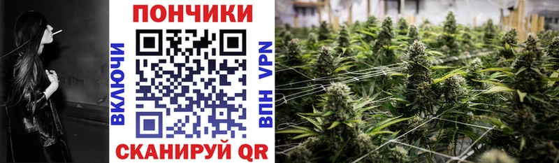 Канабис THC 21%  что такое   Нерехта 